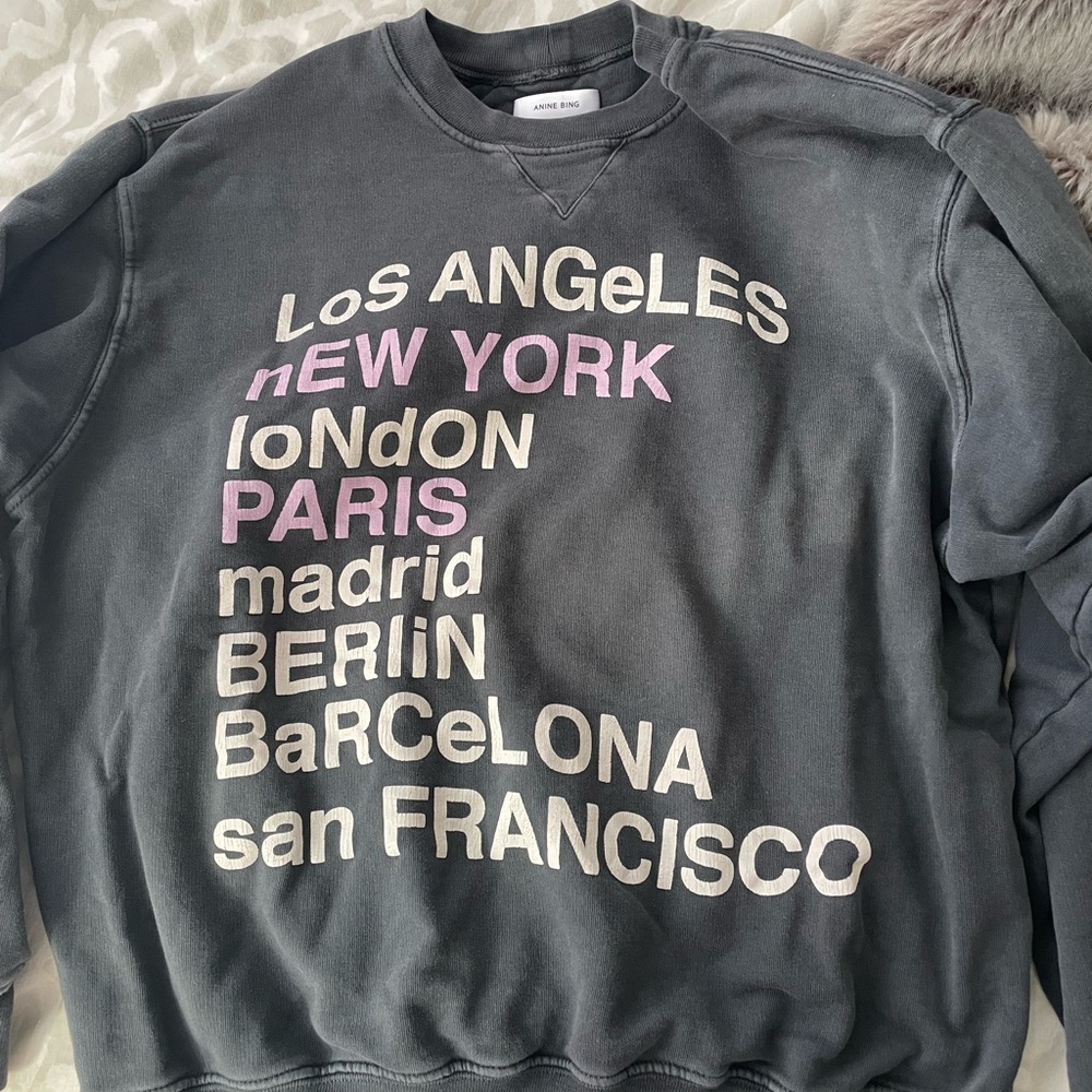 Anine Bing Sweatshirt!